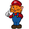 Cute cat