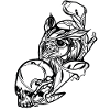 Owl with Skull // Illustration