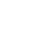 2021 limited edition