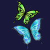 Papillons