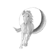 Spirit