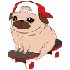 Skater Pug