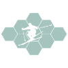 skiing ski skier