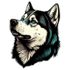 Husky Dog