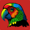 Parrot in Pop Art
