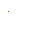 Oiseau de nuit