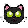 Cute Black Cat