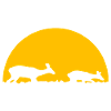 Deer in the sunset