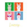 No Drama Lama