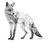 Tierliebhaber Geschenkidee Fuchs Rotfuchs Kunst