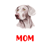 Weimaraner Maman, Weimaraner Chien
