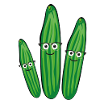 Cucumber Family,Cucumber,Cucumber,Cucumber,Nerd
