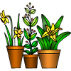 Blumen