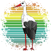 Stork bird