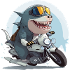 Roro the biker shark