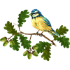 Bunter Vogel