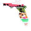 Florida Sunset Summer