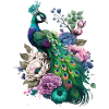 Beautiful Peacock Gift