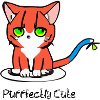 Purffectly cute