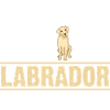 Dog Labrador