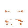 Animal welfare turtle