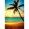 Caribbean Palm Beach