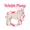 Beste Welsh Pony Mama