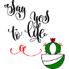 Cactus, say yes to life