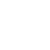 1995 Édition limitée