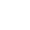 Édition limitée 2006