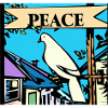 Friedenstaube Peace