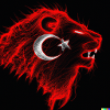 Aslan Türkiye