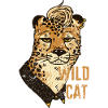 léopard wild cat