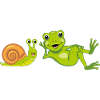 Funny snail and frog