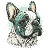 Bouledogue français
