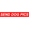 Dog Humor