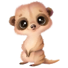 cute meerkat with eyes