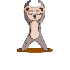 L'ours Namasté