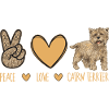 Cairn Terrier Dog