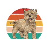 Cairn Terrier Dog