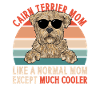 Cairn Terrier Dog
