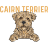 Cairn Terrier Dog