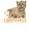 Cairn Terrier Dog