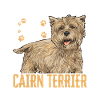 Cairn Terrier Dog