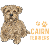 Cairn Terrier Dog