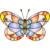 Bunter Schmetterling