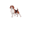 Beagle Geschenk Beagle Besitzer