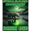 Svalbard Norge Spitsbergen Isbjørn