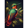 Hummingbird Hummingbird Animal Cute