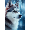 Siberian Husky Dog Snowing